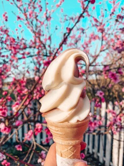 Swirly ice cream with blooming tree in the background